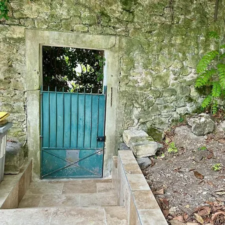 Maison Cachee Dans La Verdure * 카스텔나우르레즈